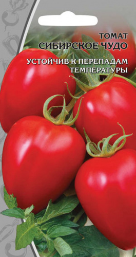 Томат Сибирский Пируэт Купить В Новосибирске